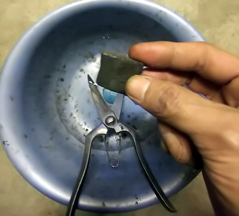 剪定鋏のお手入れ 欠かせない植木屋の道具入門