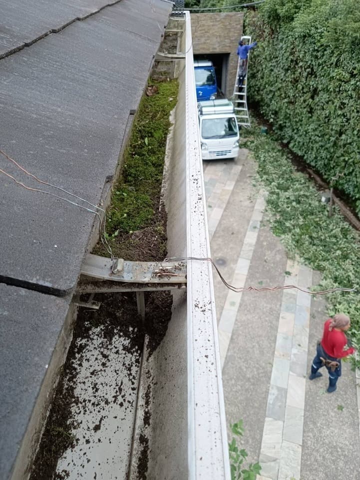 雨樋掃除後