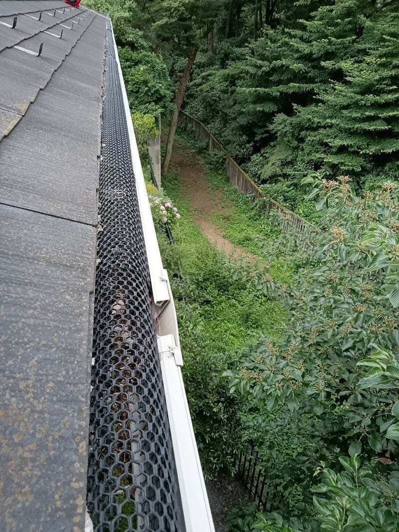 雨樋掃除前