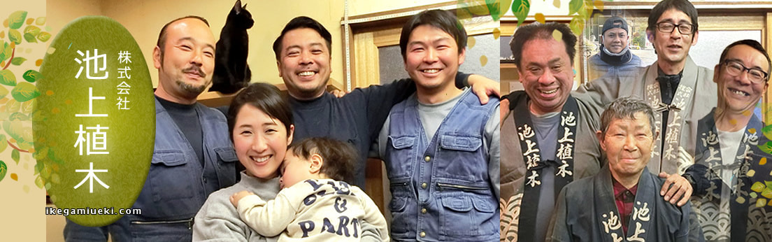 東京大田区の植木屋さん池上植木
