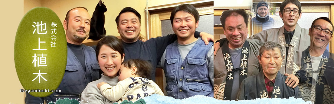 東京大田区の植木屋さん池上植木